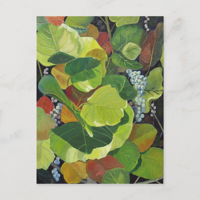 Cartão Postal Parágrafo (Frente)