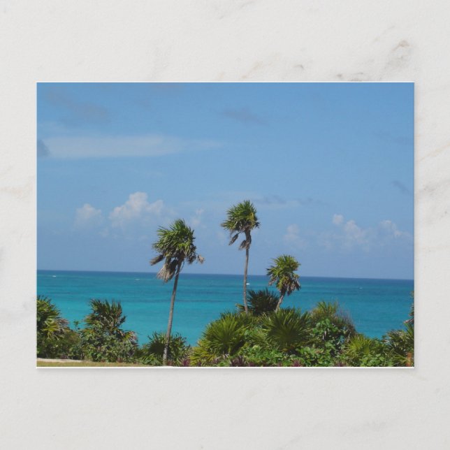 Cartão Postal paraíso (Frente)