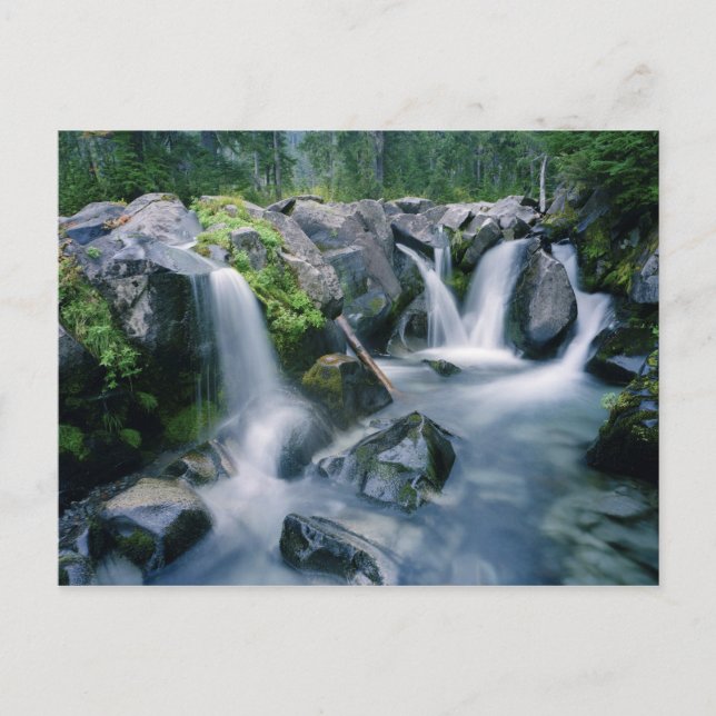 Cartão Postal Paraíso Creek flui para baixo declives do Monte (Frente)