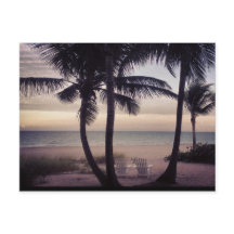 Paraíso do Catador de Conchas