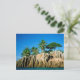 Cartão Postal Paraíso encontrado, Seychelles (Em pé/Frente)