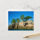 Cartão Postal Paraíso encontrado, Seychelles (Frente/Verso In Situ)