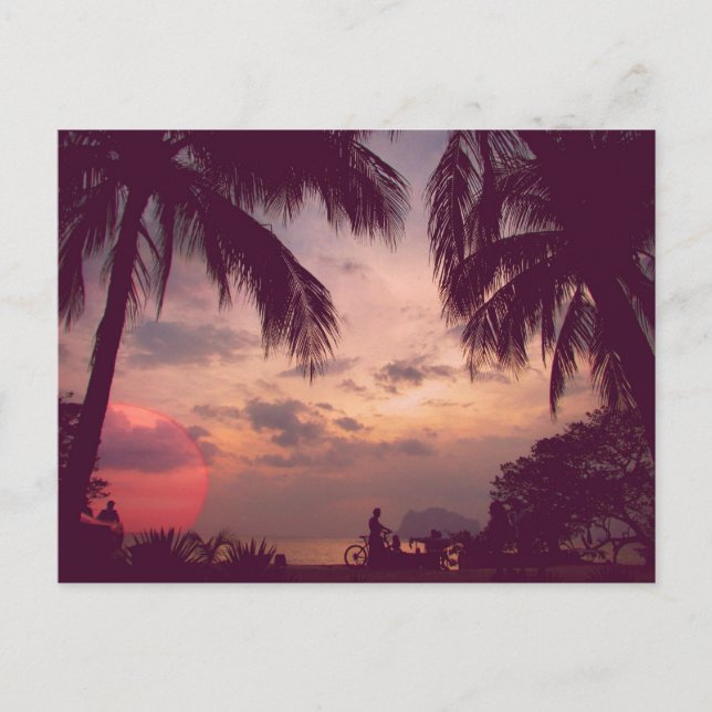 Cartão Postal Paraíso Flamingo Costa Rica Encontrado (Frente)