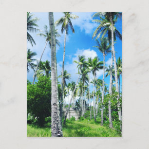 Cartão Postal Paraíso no Pacífico