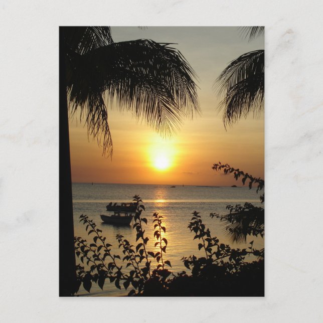 Cartão Postal Paraíso tropical (Frente)