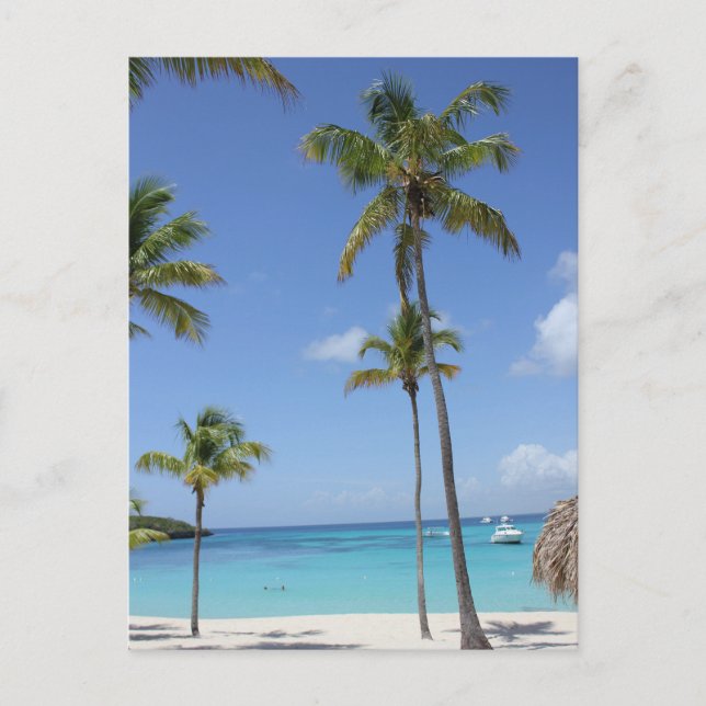 Cartão Postal paraíso tropical (Frente)