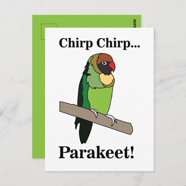 Cartão Postal Parakeet Bird (Frente/Verso)
