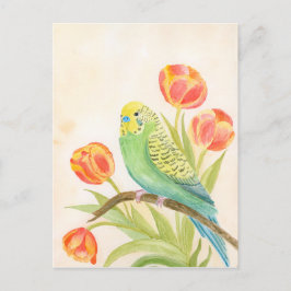 Cartão Postal Parakeet with Tulips 