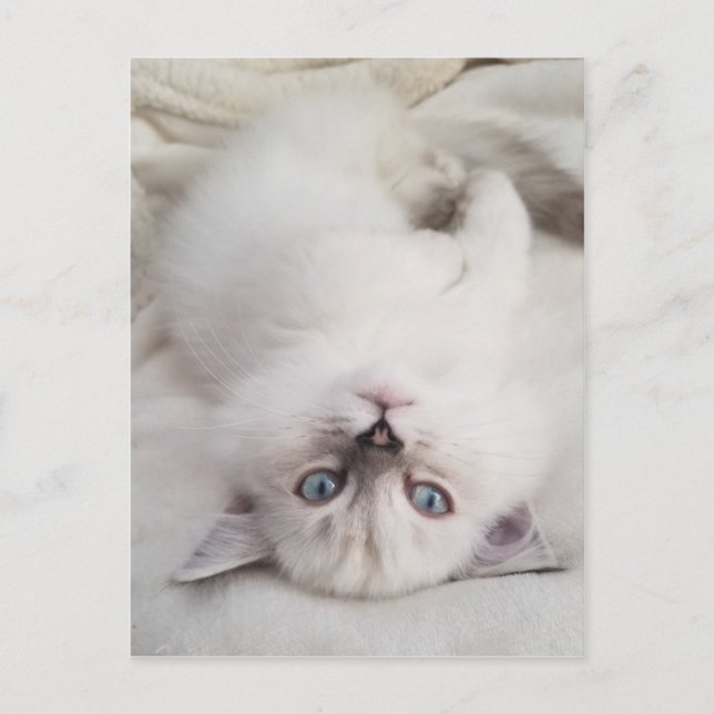 Cartão Postal Parar para Baixo (Frente)