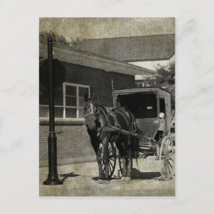 Cartão Postal Parar para um Ortografia, Cavalo Amish no Sinal de