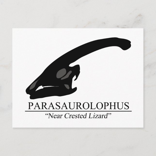 Cartão Postal Parasaurolophus (Frente)