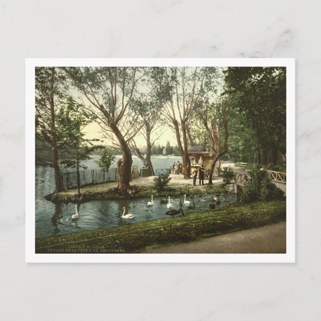 Cartão Postal Parc de la Tête d'Or, Lyon, França (Frente)