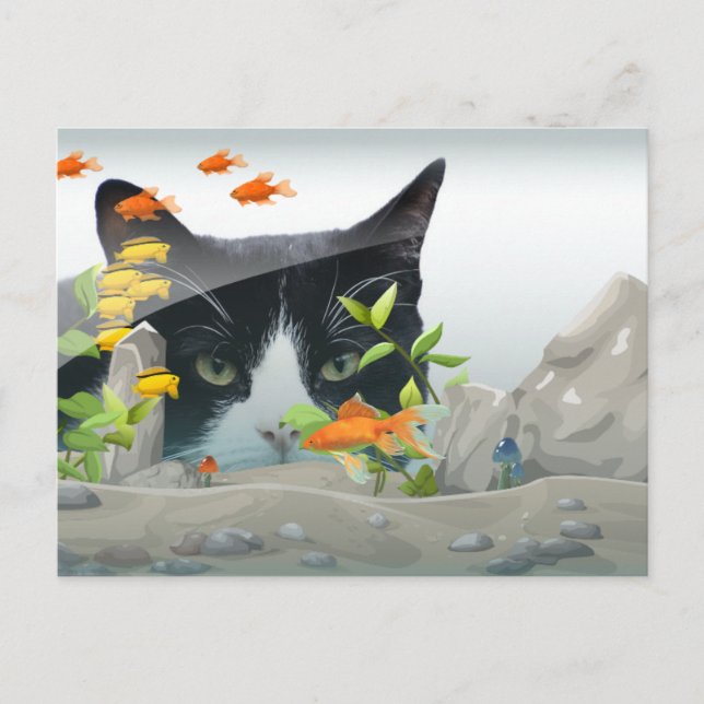 Cartão Postal Parceiro de Gato na Foto Personalizada de Tanque d (Frente)