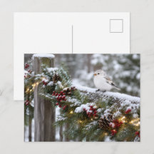 Pardal-da-neve de Natal de Inverno 