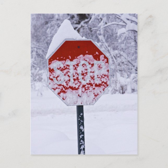 Cartão Postal Pare de nevar! (Frente)