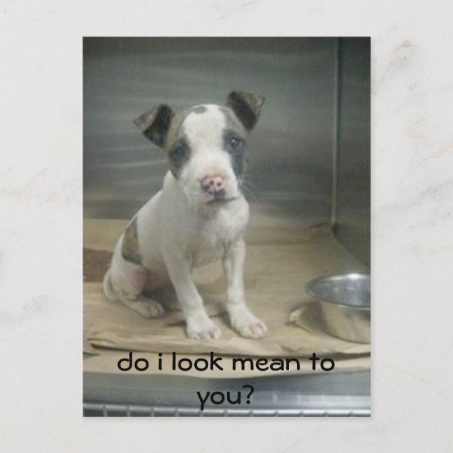 Cartão Postal Pareço má para ti? (Frente)