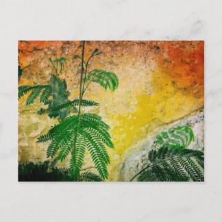 Cartão Postal Parede amarela com planta