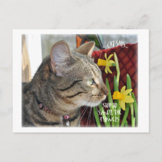 Cartão Postal Parem e cheirarem as flores