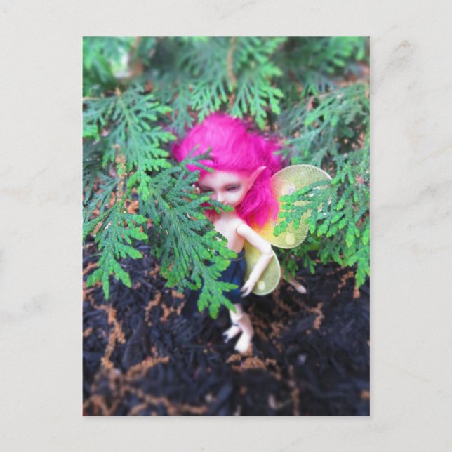 Cartão Postal Parêntese De Urso Pequeno, Boneca Amarrada Asiátic (Frente)