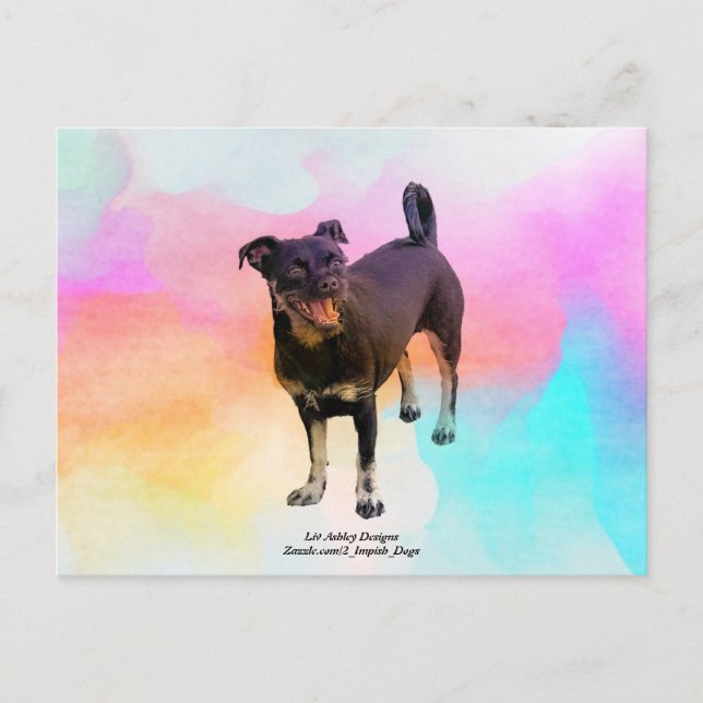 Cartão postal Paris Disco (Frente)