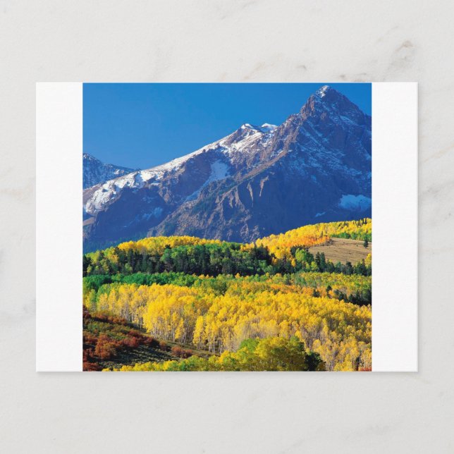Cartão Postal Park Sneffels Uncompahgre Forest Colorado (Frente)