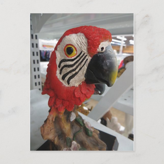 Cartão Postal Parort Head (Frente)