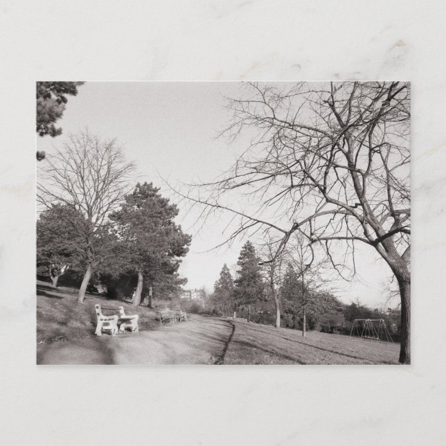 Cartão Postal Parque Bell Vue, Newport, Mon (Frente)