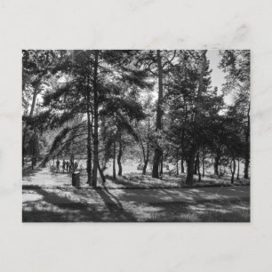 Cartão Postal Parque Bute numa Tarde de Verão. Cardiff Wales.