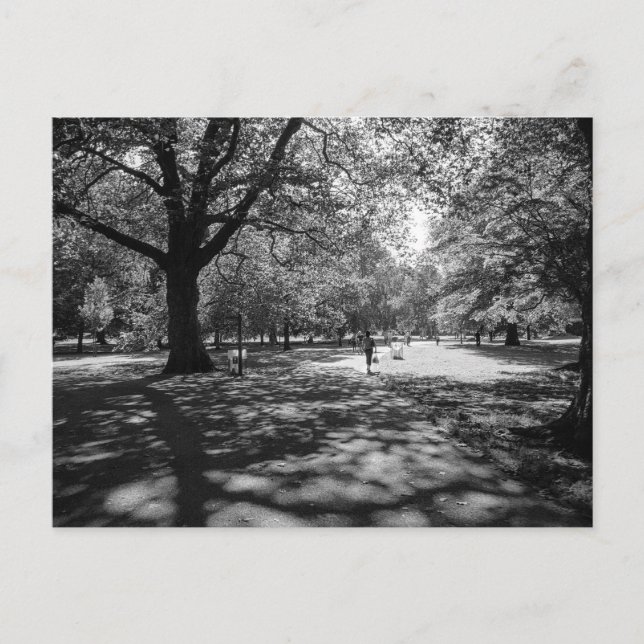 Cartão Postal Parque Bute numa Tarde de Verão. Cardiff Wales. (Frente)