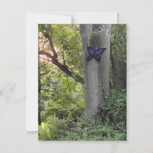Cartão Postal Parque Butterfly