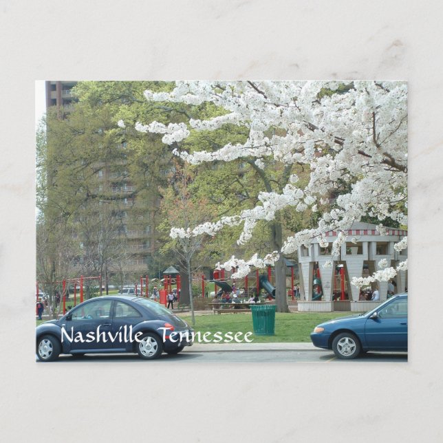 Cartão Postal Parque Centenário em Primavera (Frente)