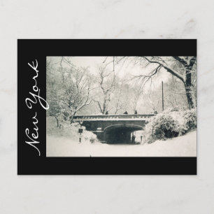 Cartão Postal parque central de nova iorque