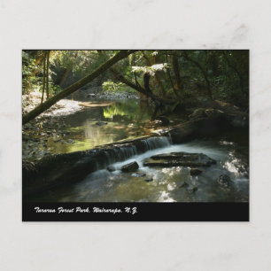 Cartão Postal Parque da Floresta de Tararua, Wairarapa, N.Z.