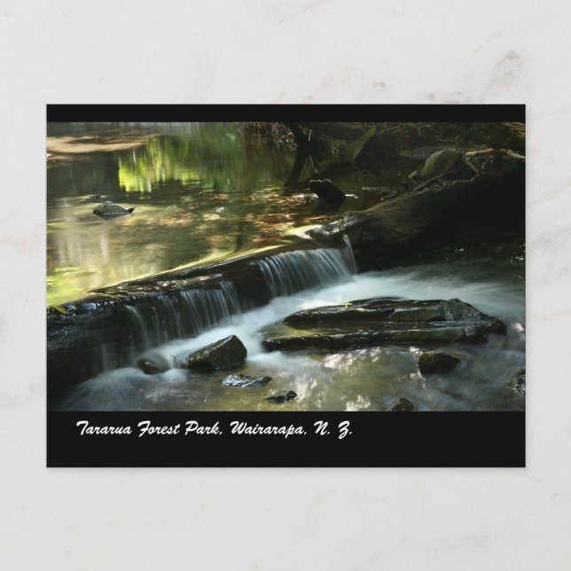 Cartão Postal Parque da Floresta Tararua, Wairarapa, N. Z. (Frente)