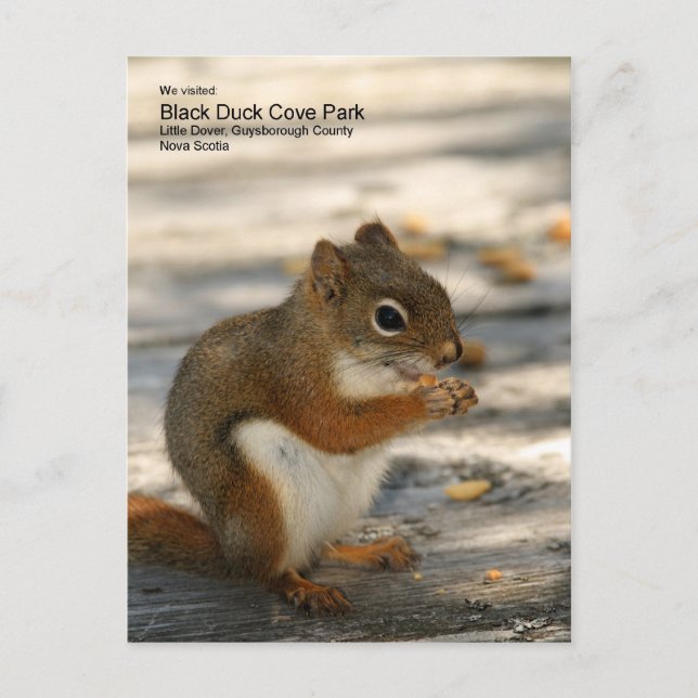 Cartão Postal Parque de Caça do Pato Negro (Frente)