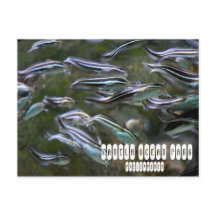 Parque do Oceano Manila