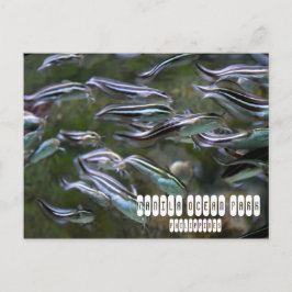 Cartão Postal Parque do Oceano Manila