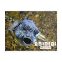 Parque do Oceano Manila nas Filipinas