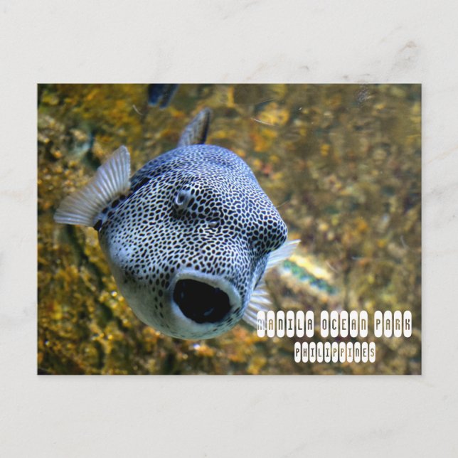 Cartão Postal Parque do Oceano Manila nas Filipinas (Frente)