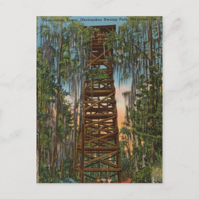 Cartão Postal Parque do Pântano Okelenokee, Waycross, Geórgia (Frente)