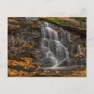 Cartão Postal Parque Estadual Blackwater Falls