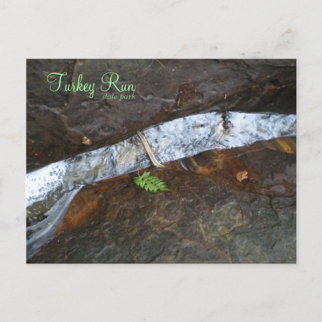 Cartão Postal Parque Estadual da Corrida da Turquia (Frente)