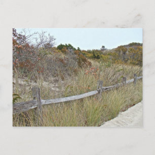 Cartão Postal Parque Estadual da Praia de Dunes e Fence Island