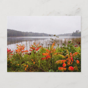 Cartão Postal Parque Estadual de Itasca Minnesota