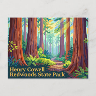 Cartão Postal Parque Estadual Henry Cowell Redwoods Califórnia
