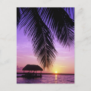 Cartão Postal Parque Estadual John Pennekamp, Florida Keys, Key