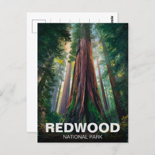 Cartão Postal Parque Estadual Nacional Redwood, Califórnia Coste