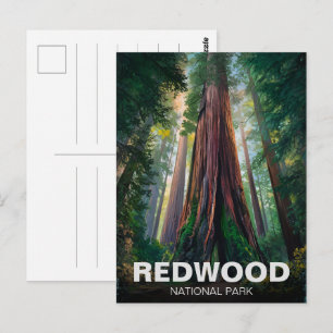 Cartão Postal Parque Estadual Nacional Redwood, Califórnia Coste