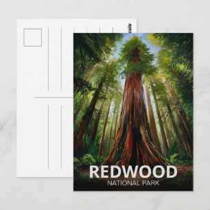 Cartão Postal Parque Estadual Nacional Redwood, Califórnia Coste