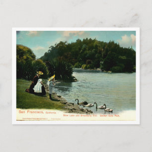 Cartão Postal Parque Golden Gate de São Francisco Inspirado no V